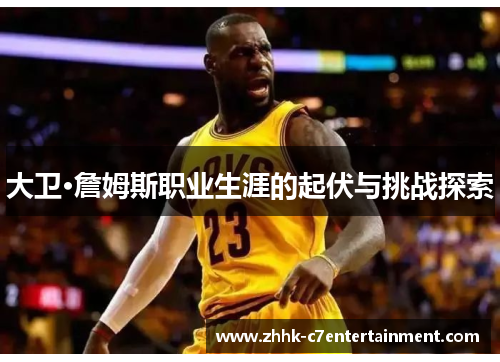 大卫·詹姆斯职业生涯的起伏与挑战探索