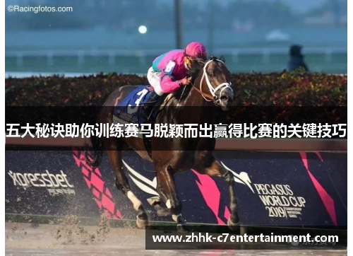 五大秘诀助你训练赛马脱颖而出赢得比赛的关键技巧