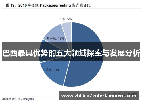 巴西最具优势的五大领域探索与发展分析