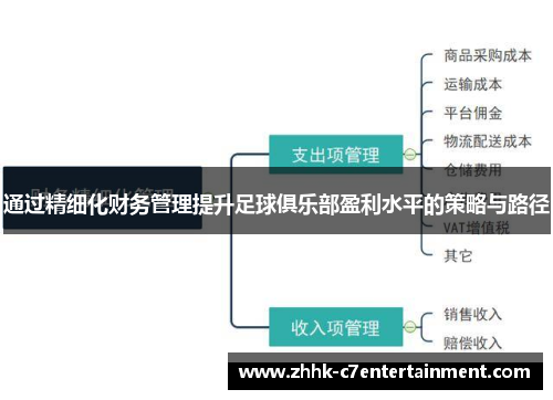 通过精细化财务管理提升足球俱乐部盈利水平的策略与路径