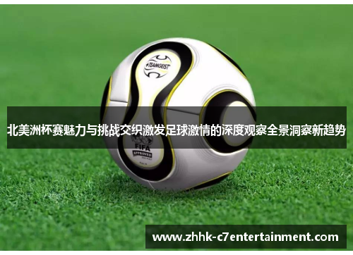 北美洲杯赛魅力与挑战交织激发足球激情的深度观察全景洞察新趋势