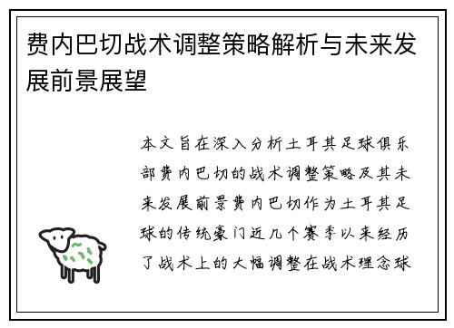 费内巴切战术调整策略解析与未来发展前景展望