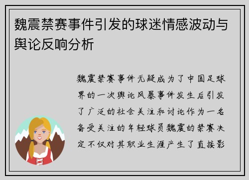 魏震禁赛事件引发的球迷情感波动与舆论反响分析