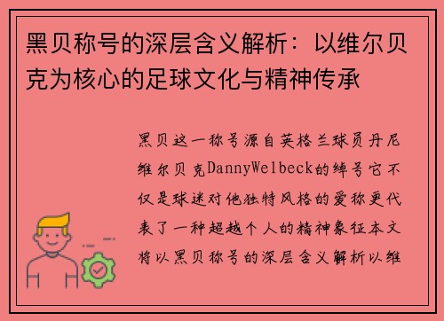 黑贝称号的深层含义解析：以维尔贝克为核心的足球文化与精神传承